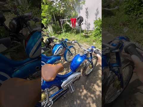 #mobylette #sachs #review (0774889418)