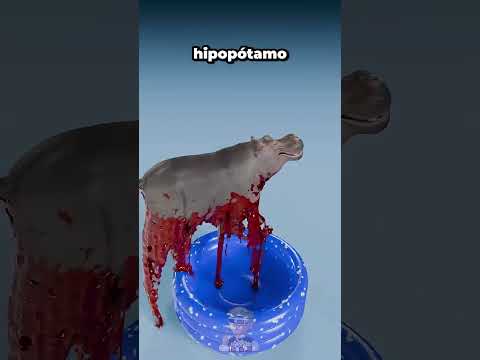 Sangre de Hipopotamo vs Sangre de Murcielago😨👆  #curiosidades