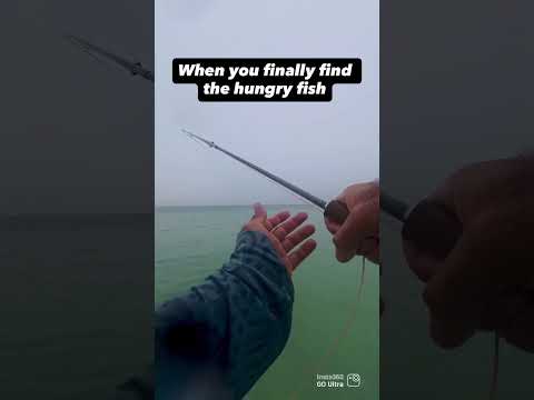 They ate everything #flyfishing #insta360 #insta360goultra @choonaclothing @insta360