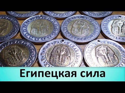 Египецкая сила - UCu8-B3IZia7BnjfWic46R_g