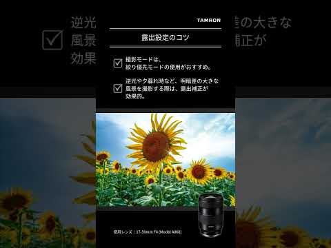 【タムロン公式】風景写真の撮り方構図を活かしてダイナミックに！バランスよく撮るコツを解説 #ショート