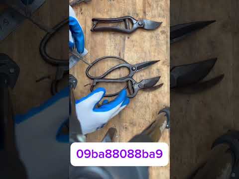 Chua sẽ giao lưu cùng ae đam mê nghệ thuật tạo tác bonsai #bonsai #bonsaitools #bonsaiart