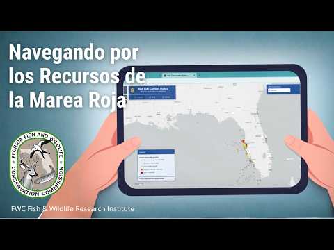 Navegando por los recursos de la marea roja video thumbnail