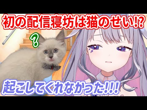 デビュー以来、初めて配信に寝坊したビブー。寝坊の原因はJohn Cat！？【ホロライブ切り抜き/古石ビジュー/Koseki Bijou】