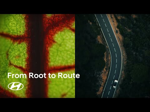 현대차그룹 싱가포르 글로벌 혁신센터(HMGICS) 공개｜From Root to Route