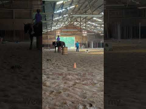 She was so good! 🎀Misty🎀 #horse #covermusic #neigh #equestrian #coversong