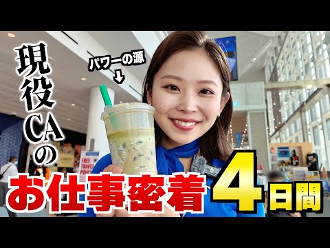 アメリカの航空会社で働く日本人CAの4日間を全てお見せします🇺🇸