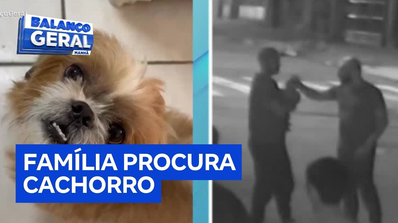 Família procura cachorro que foi resgatado por dois homens na zona sul de São Paulo