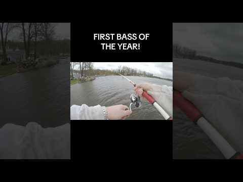 Catch a bath, take a bass 🐟🎣 video thumbnail