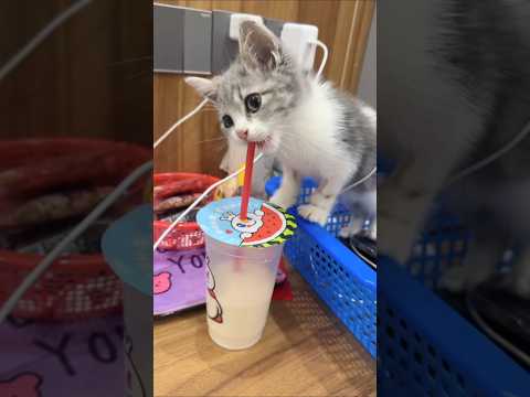 Performance 💞💞 #shorts #shortsfeed #trendingshorts #performance