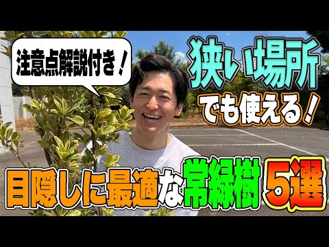【防犯・プライバシー確保】狭い場所でもオシャレに目隠し
