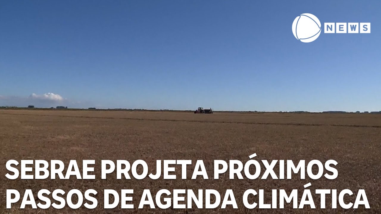 Sebrae projeta próximos passos e consolida pequenos negócios na agenda climática