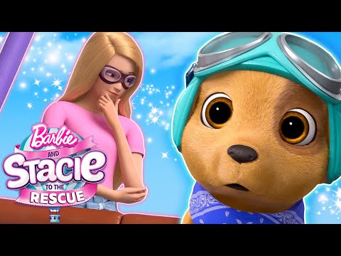 Barbie steckt in einem Heißluftballon fest! | Barbie und Stacie – Eine Schwester für alle Fälle