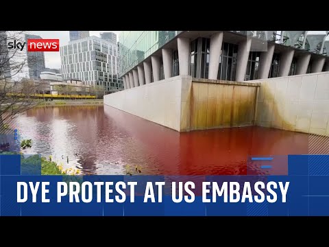 Arrests made after dye dumped into US embassy pond in Israel arms sales protest