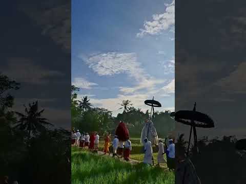 #bali #balinese_hinduism #balineseculture #budayabali #ngiring #sesuhunan #melancaran #2025