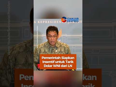 Pemerintah Siapkan Insentif untuk Tarik Dolar WNI Dari LN