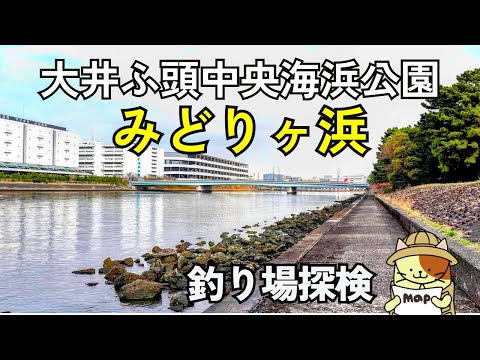 京浜運河「みどりヶ浜」釣り場探検｜駅徒歩7分、トイレ完備、大井ふ頭中央海浜公園の端にある穴場的釣り場