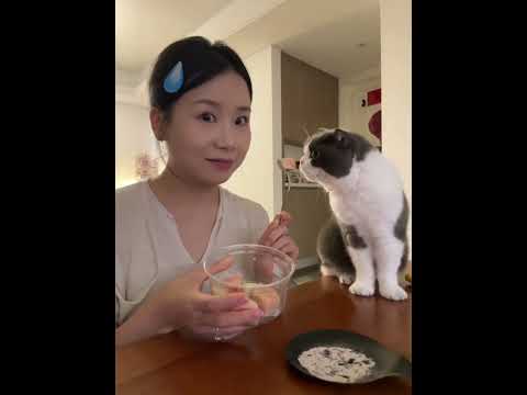 梦想是做最幸福的小猫,晚安啦~ #vlog #睡前 #infj #生活记录 #晚安