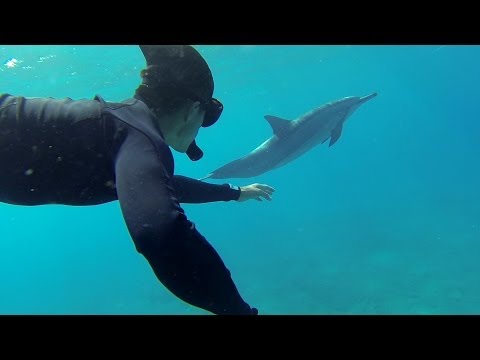 GoPro: Swimming With Dolphins - UCqhnX4jA0A5paNd1v-zEysw