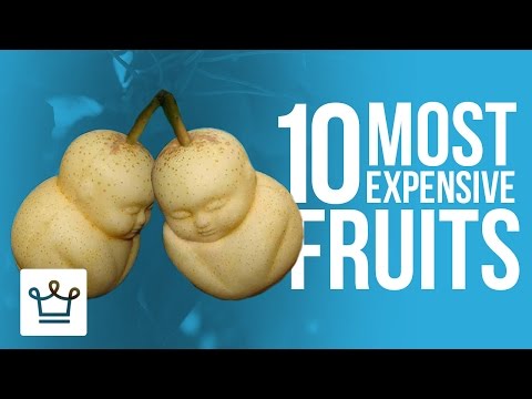 Top 10 Most Expensive Fruits In The World - UCNjPtOCvMrKY5eLwr_-7eUg