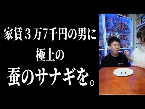 【岡田を追え!!】蟻はよく食べるらしいので、遠慮なく蚕のサナギを食べてもらいました。