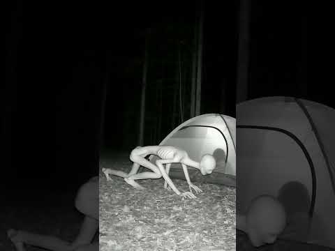 Skinwalker #ai #horror #funny #shorts #skinwalker #ytshprts