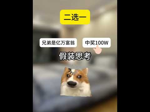 猫の動画サムネイル - 兄弟，你最好晚点死！#有趣 #猫meme #猫meme剧场 #猫meme小剧场 #内容过于真实  #故事 #貓 #猫猫meme小剧场 #喵不可言