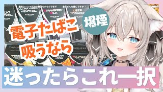 【2025年版】電子タバコ迷ったらコレ！ターレスネクストが優勝でした。