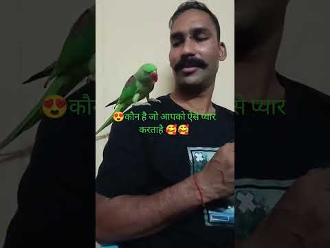 💞कौन है जो आपसे ऐसे प्यार करता है कमेंट में बताएं 🌹🤩😍💞#youtubeshorts #funny #viral #ternding video 📸