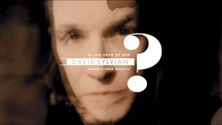 David Sylvian - Do You Know Me Now?