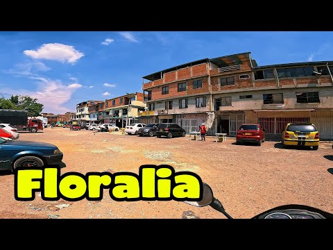 Como Van Estos Barrios del Norte de Cali