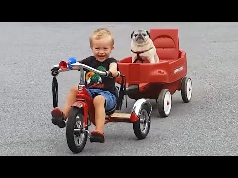 Warning! This Will MELT YOUR HEART - Cute BABIES, KIDS and Animals Compilation