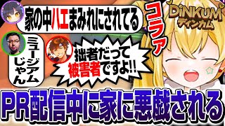 【Dinkum】DinkumPR配信中に家をハエまみれにされるとおこ【とおこ切り抜き】