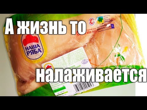 Снегири закончились. Птицеферма Саныча. - UCu8-B3IZia7BnjfWic46R_g