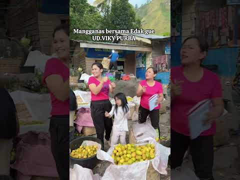 Panen Mangga #mantap #mango #laguviral