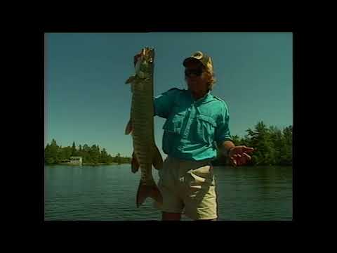 In-Fisherman Classics: Speed Trolling for Big Muskies