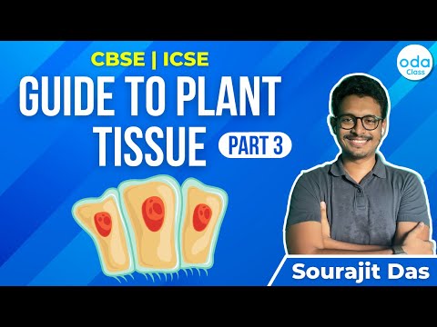 PLANT TISSUE – 3 | BIOLOGY | CBSE | ICSE | ODA CLASS | SOURAJIT SIR