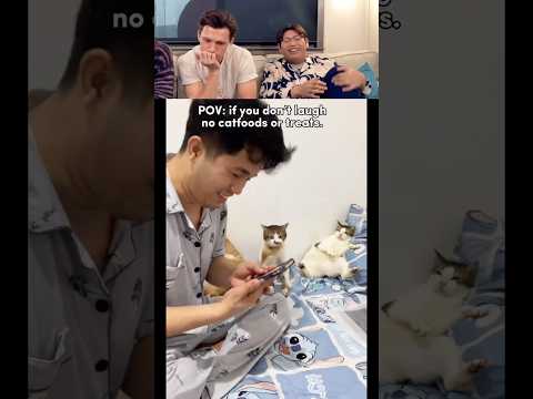 Tom Holland React Viral Videos Part 24 #tomholland #funny #trynottolaugh #reaction