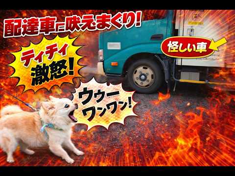配達車は敵?