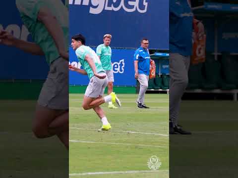 image para ilustrar o artigo