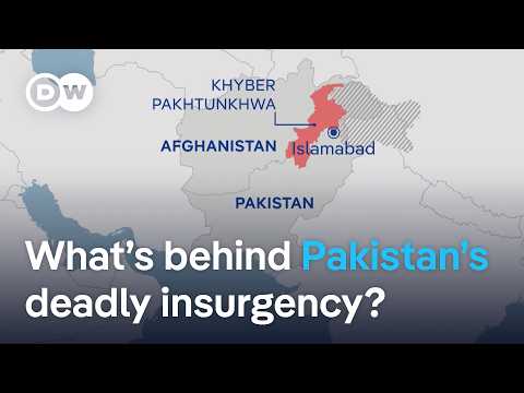 How much control does the Afghan Taliban have over the militant group TTP in Pakistan? | DW News