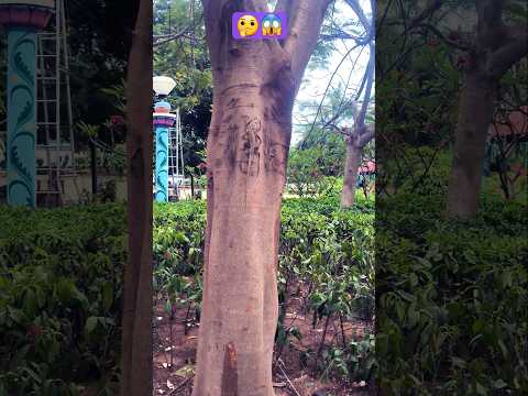 #funny #my #vairalshort 👍🤭🙏🤔