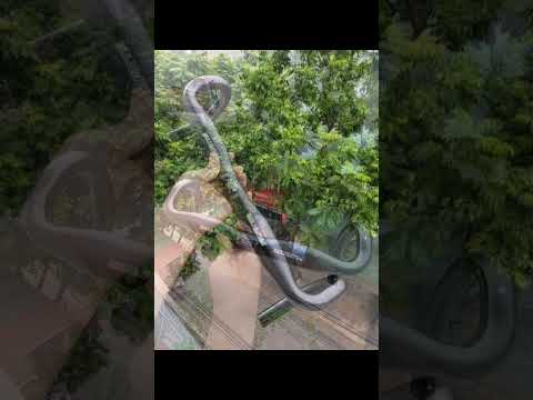 Ghi đông xe đạp 31.8mm #phukienxedap zl 0941.635.286