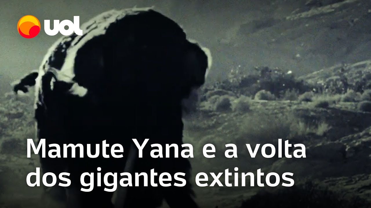 Mamute Yana e a volta dos gigantes extintos qual será a consequência para o planeta | O Impensável