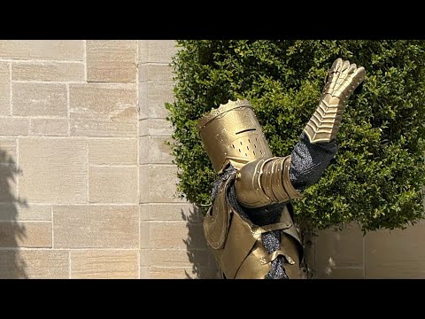 RISE!! EVERYONE IN OUR KINGDOM! 👑🔰🏰