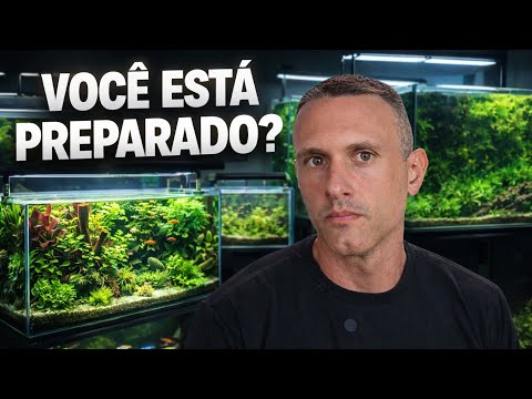 VOCÊ REALMENTE ESTÁ PREPARADO PARA TER UM AQUÁRIO PLANTADO?