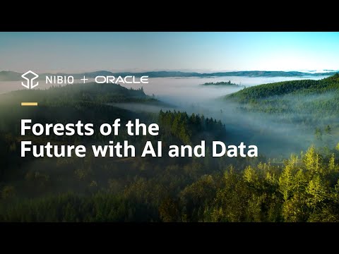 NIBIO improves sustainable forest management with data and AI on OCI