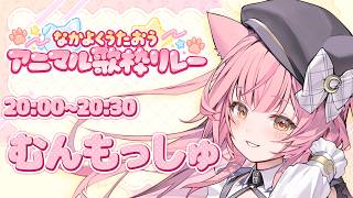 【#なかよくうたおうアニマル歌枠リレー】弾き語りで歌う猫メイドです🎀【#むんもっしゅ 】