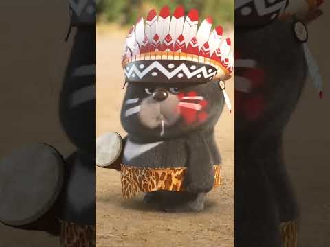 Video gấu trúc 🐼🐼 #gautrucnau #vuinhon #trungquoc #panda