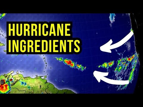 The Ingredients for a Hurricane to Form...